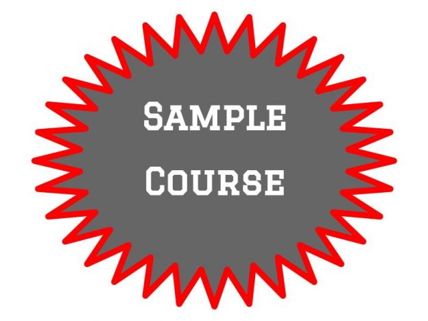 .Sample Course course image